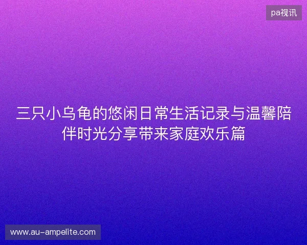 三只小乌龟的悠闲日常生活记录与温馨陪伴时光分享带来家庭欢乐篇